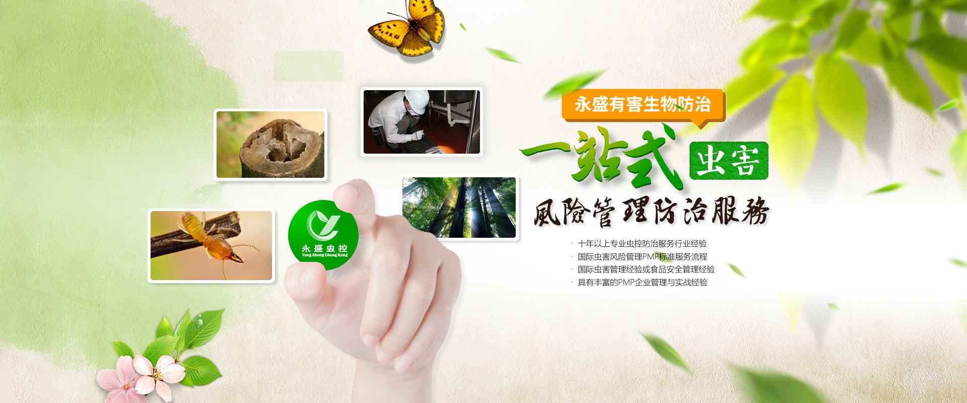 中山除甲醛，中山滅白蟻公司網(wǎng)站banner圖